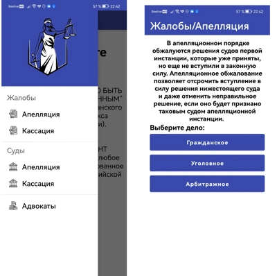 О приложении Апеллянт